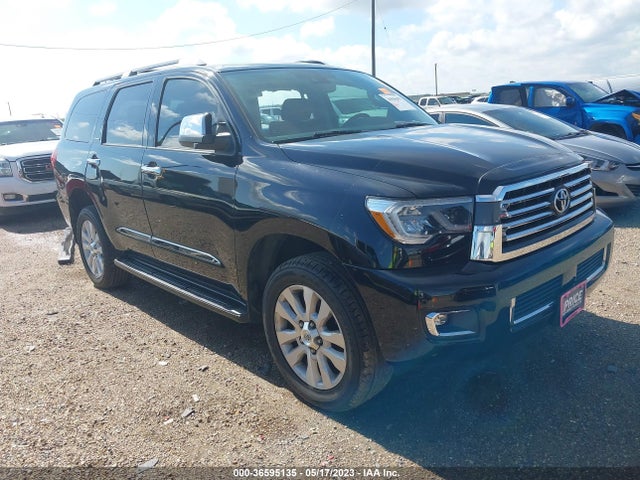 2019 Toyota Sequoia, VIN: 5TDYY5G15KS074070