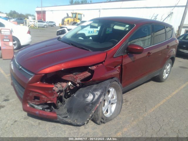 1FMCU0GX3EUB29818 Ford ESCAPE SE