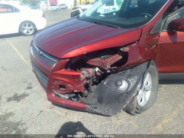 1FMCU0GX3EUB29818 Ford ESCAPE SE
