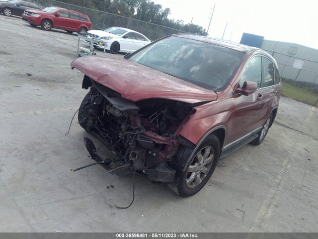 2007 HONDA CR-V EX-L VIN: JHLRE38707C015296