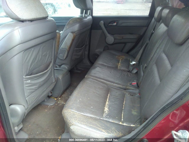 2007 HONDA CR-V EX-L VIN: JHLRE38707C015296