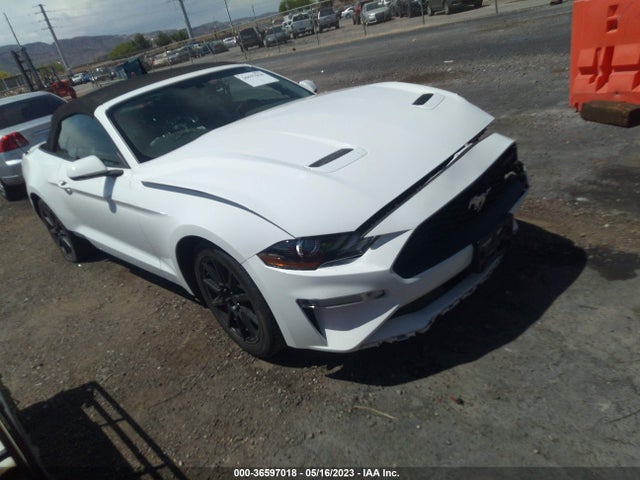 2019 1FATP8UHXK5170997 main image