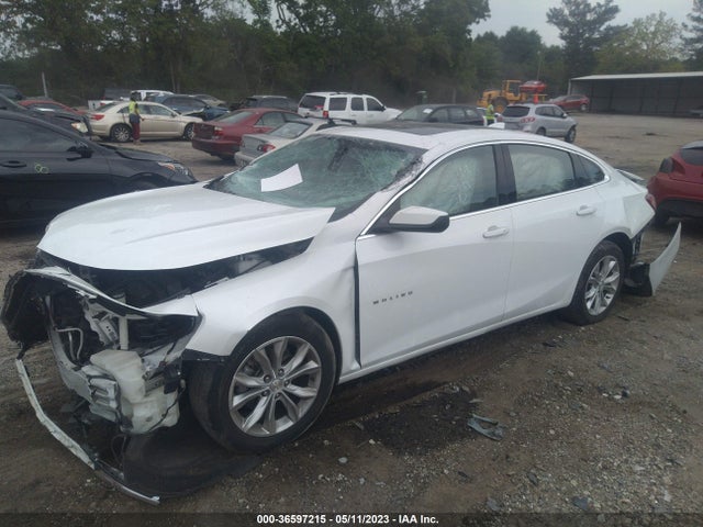Chevrolet MALIBU LT 2019 1G1ZD5STXKF219198 Image 2