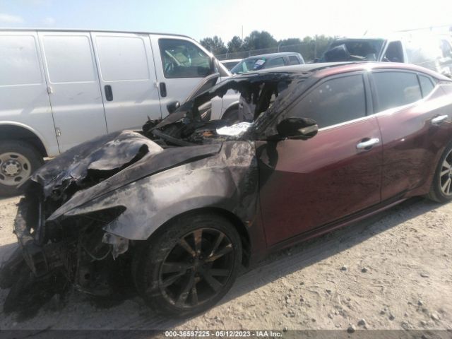 1N4AA6AP2HC363660 Nissan Maxima Platinum