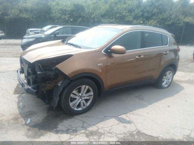 KNDPMCAC8H7285529 KIA Sportage Lx