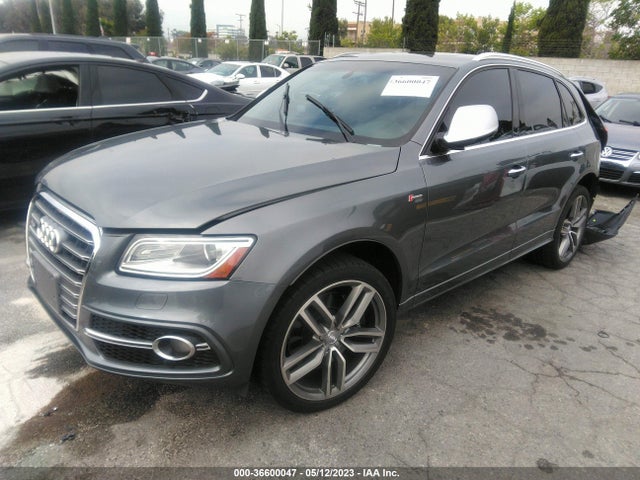 WA1CCAFP6GA130233 Audi Sq5 Premium Plus