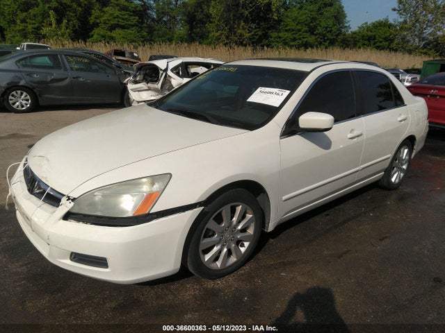 2006 HONDA ACCORD SDN EX-L V6 VIN: 1HGCM66506A059853