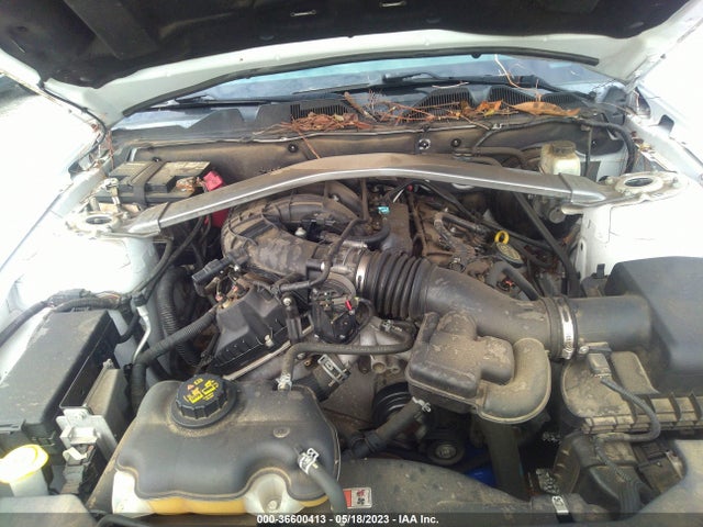 Ford Mustang V6 2014 1ZVBP8EM5E5301241 Image 11