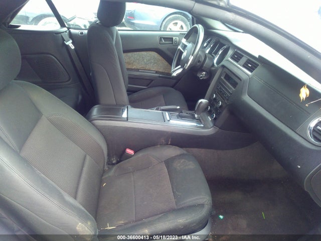 Ford Mustang V6 2014 1ZVBP8EM5E5301241 Image 6