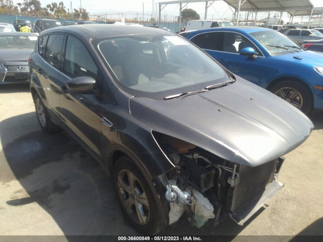 2016 1FMCU0G73GUA07642 main image