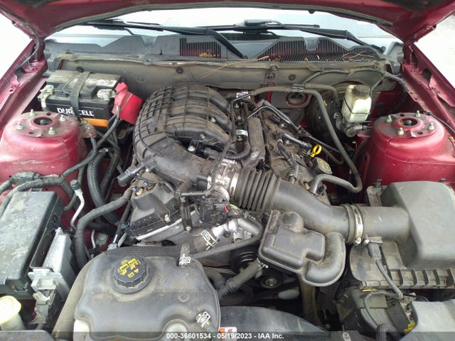 Ford Mustang V6 2014 1ZVBP8AM9E5288712 Image 11