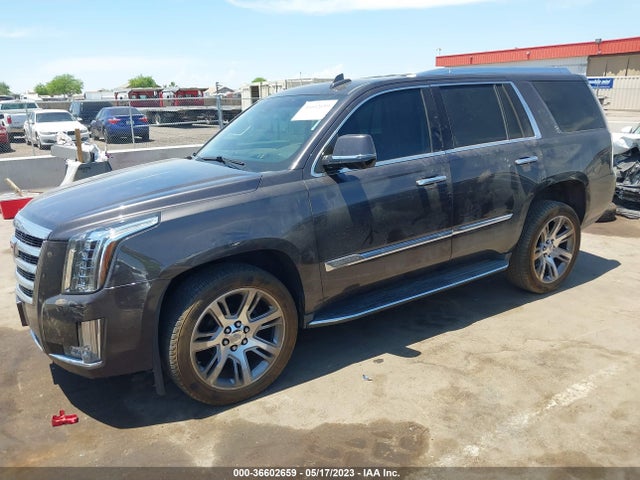 Cadillac Escalade Luxury Collection 2016 1GYS4BKJ2GR272905 Image 2