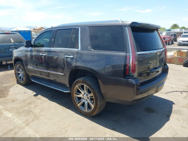 Cadillac Escalade Luxury Collection 2016 1GYS4BKJ2GR272905 Image 3