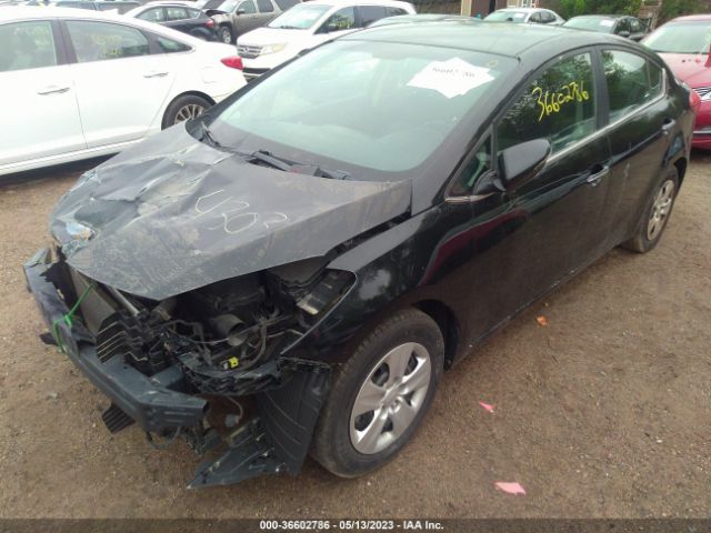 KNAFX4A84E5114446 KIA FORTE EX