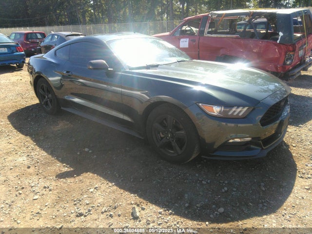 2015 Ford Fastback, VIN: 1FA6P8AM5F5351901