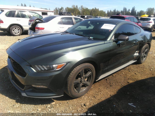 2015 Ford Fastback, VIN: 1FA6P8AM5F5351901