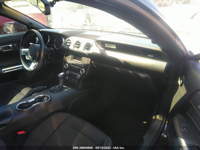 2015 Ford Fastback, VIN: 1FA6P8AM5F5351901