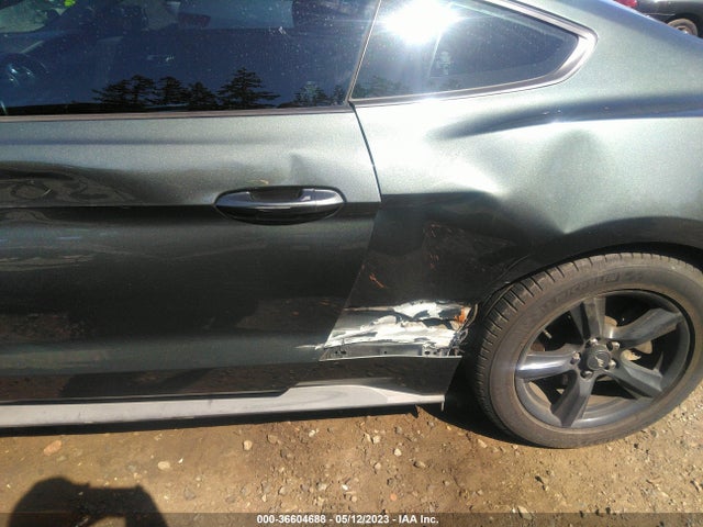 2015 Ford Fastback, VIN: 1FA6P8AM5F5351901
