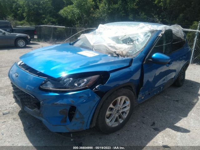 1FMCU0BZ4MUA68177 Ford Escape Se Hybrid