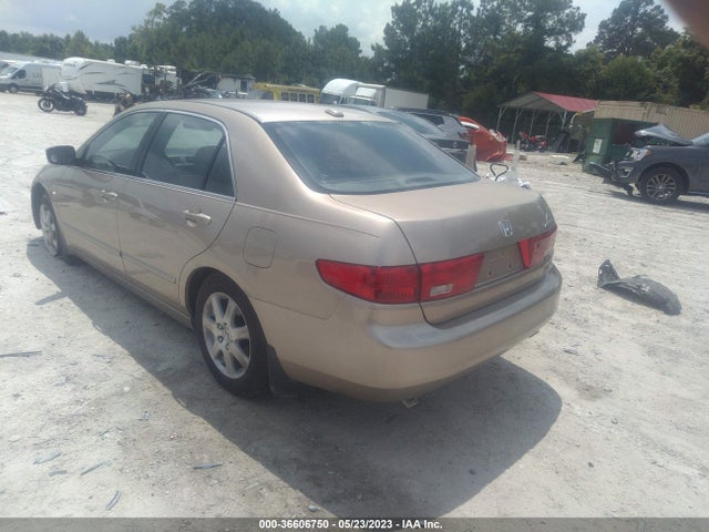 2005 HONDA ACCORD SDN EX-L V6 VIN: 1HGCM66575A002838