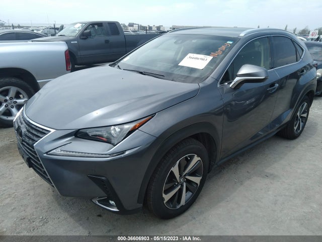 2019 Lexus NX, VIN: JTJYARBZ5K2144700