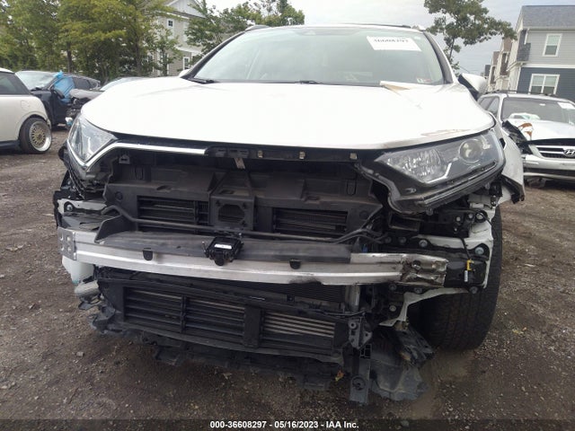 2019 HONDA CR-V EX-L VIN: 5J6RW1H87KA024261