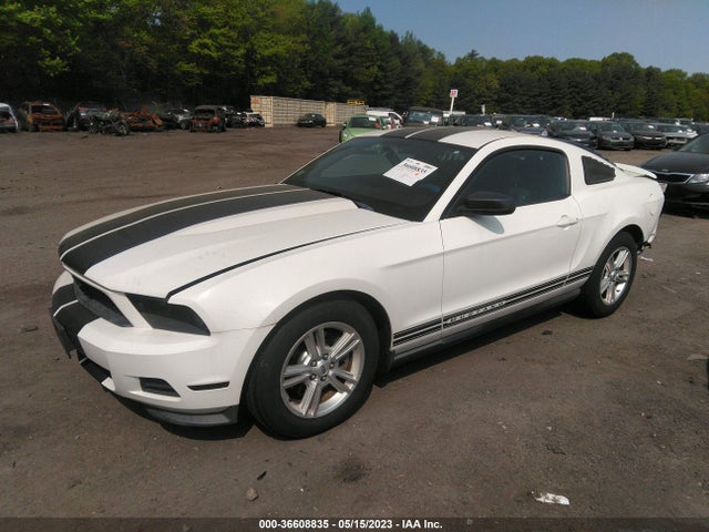 2012 FORD MUSTANG V6 VIN: 1ZVBP8AM6C5287899