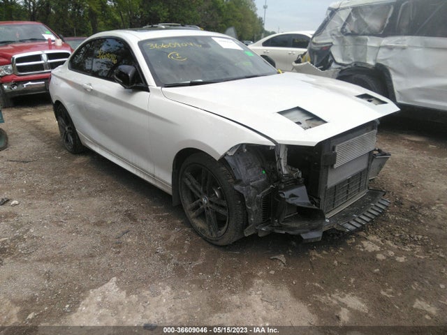 2020 BMW 2 Series, VIN: WBA2J7C01L7F29849
