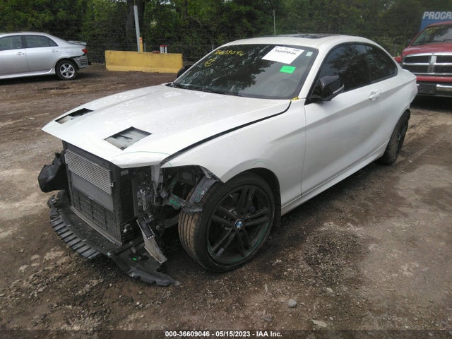 2020 BMW 2 Series, VIN: WBA2J7C01L7F29849