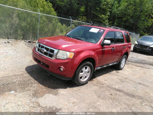 2011 FORD ESCAPE XLT VIN: 1FMCU0D77BKB51025