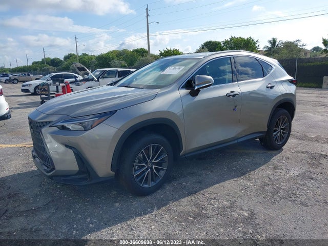 2022 Lexus NX, VIN: 2T2GDCAZ8NC001875