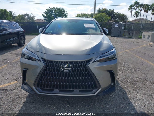 2022 Lexus NX, VIN: 2T2GDCAZ8NC001875