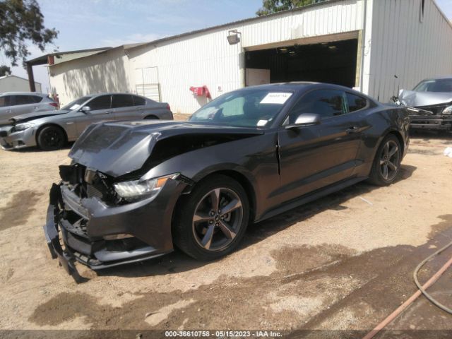 1FA6P8AM4F5372464 Ford Mustang V6