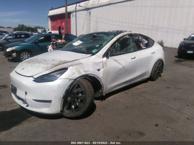 5YJYGDEE2MF181247 Tesla Model Y Long Range