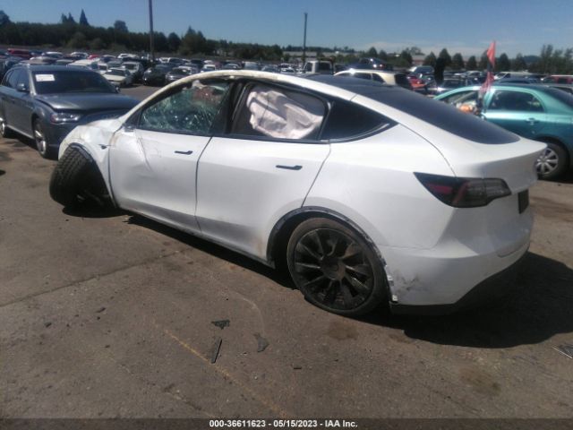 5YJYGDEE2MF181247 Tesla Model Y Long Range
