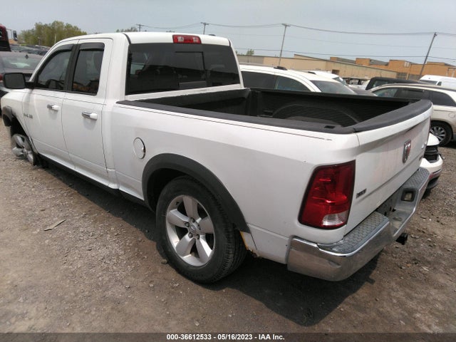2010 DODGE RAM 1500 SLT VIN: 1D7RV1GP1AS151474