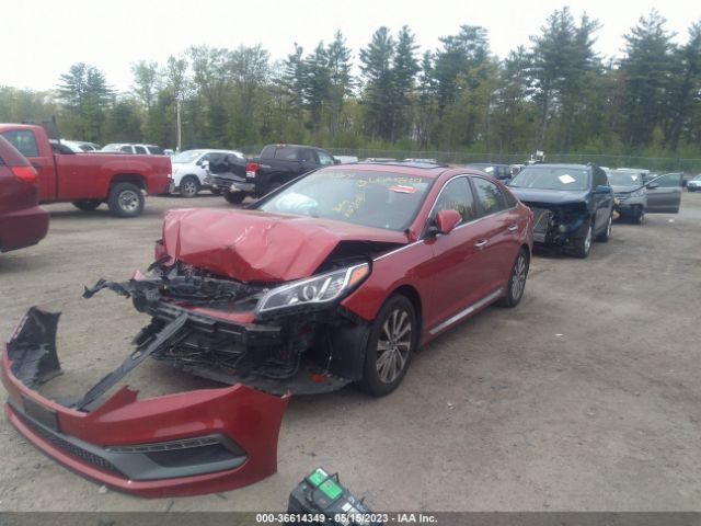 5NPE34AF5HH542023 Hyundai Sonata Sport
