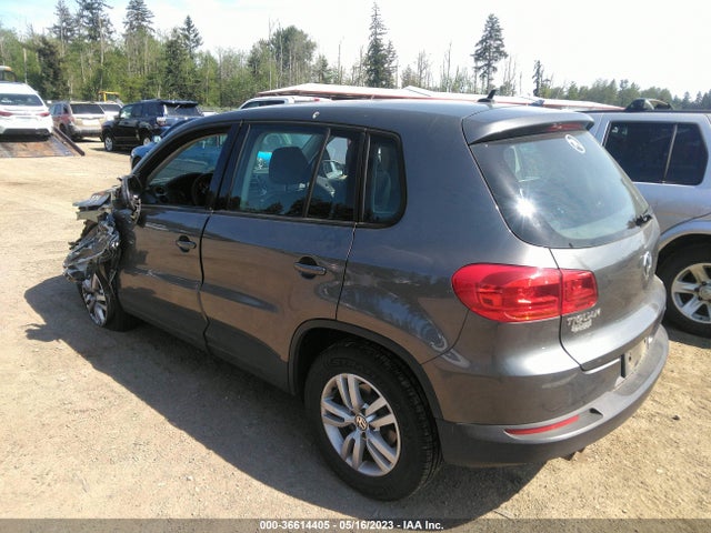 WVGAV3AX8EW624910 Volkswagen TIGUAN S