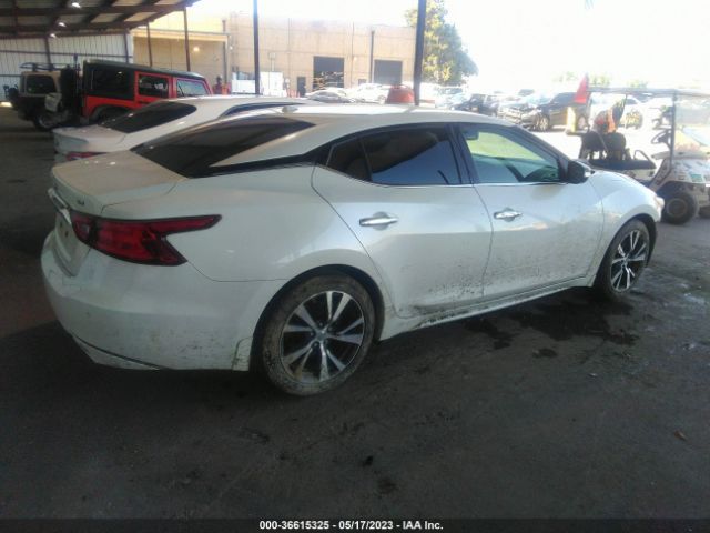 1N4AA6AP2GC449324 Nissan Maxima 3.5 Sv