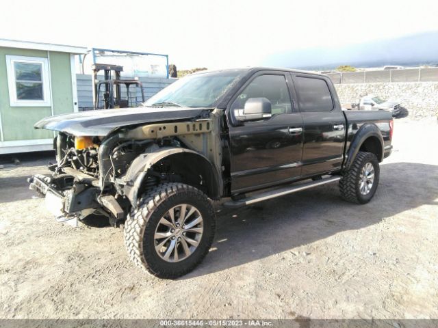 1FTEW1EF9FKD43894 Ford F-150 Xlt/xl/lariat/platinum
