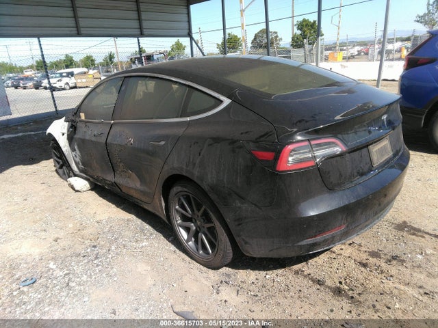Tesla Model 3 Range 2019 5YJ3E1EA4KF305740 Image 3