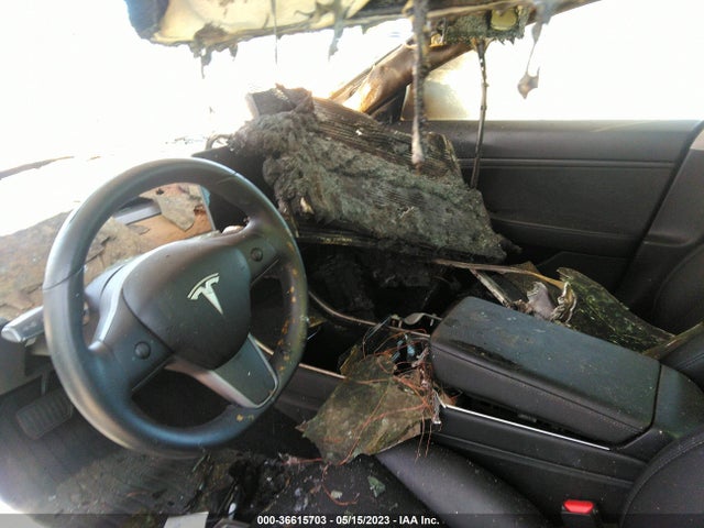 Tesla Model 3 Range 2019 5YJ3E1EA4KF305740 Image 5