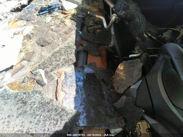 Tesla Model 3 Range 2019 5YJ3E1EA4KF305740 Image 7