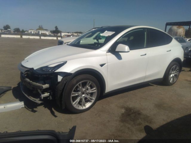 5YJYGDEE3MF092092 Tesla Model Y Long Range