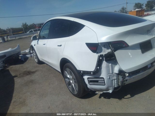 5YJYGDEE3MF092092 Tesla Model Y Long Range