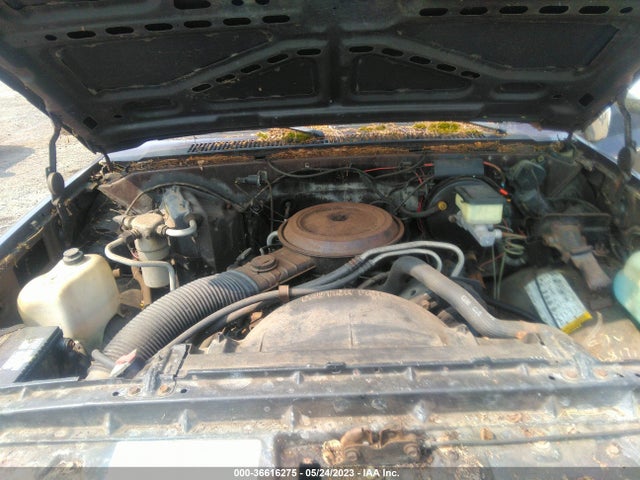 1985 CHEVROLET C10 VIN: 2GCDC14H0F1198364