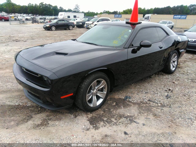 Dodge Challenger Sxt 2019 2C3CDZAG5KH694429 Image 2
