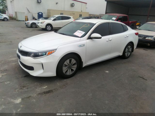 KNAGT4LC6H5008490 KIA Optima Hybrid Base