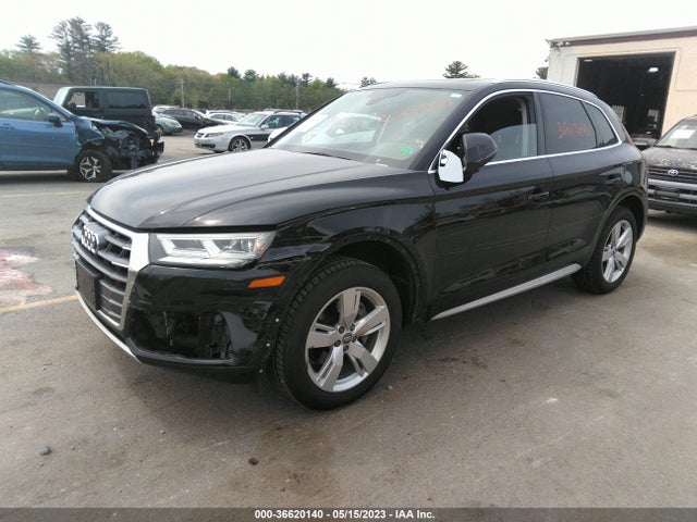Audi Q5 Premium Plus 2019 WA1BNAFY2K2037338 Image 2