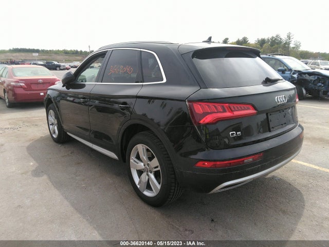 Audi Q5 Premium Plus 2019 WA1BNAFY2K2037338 Image 3